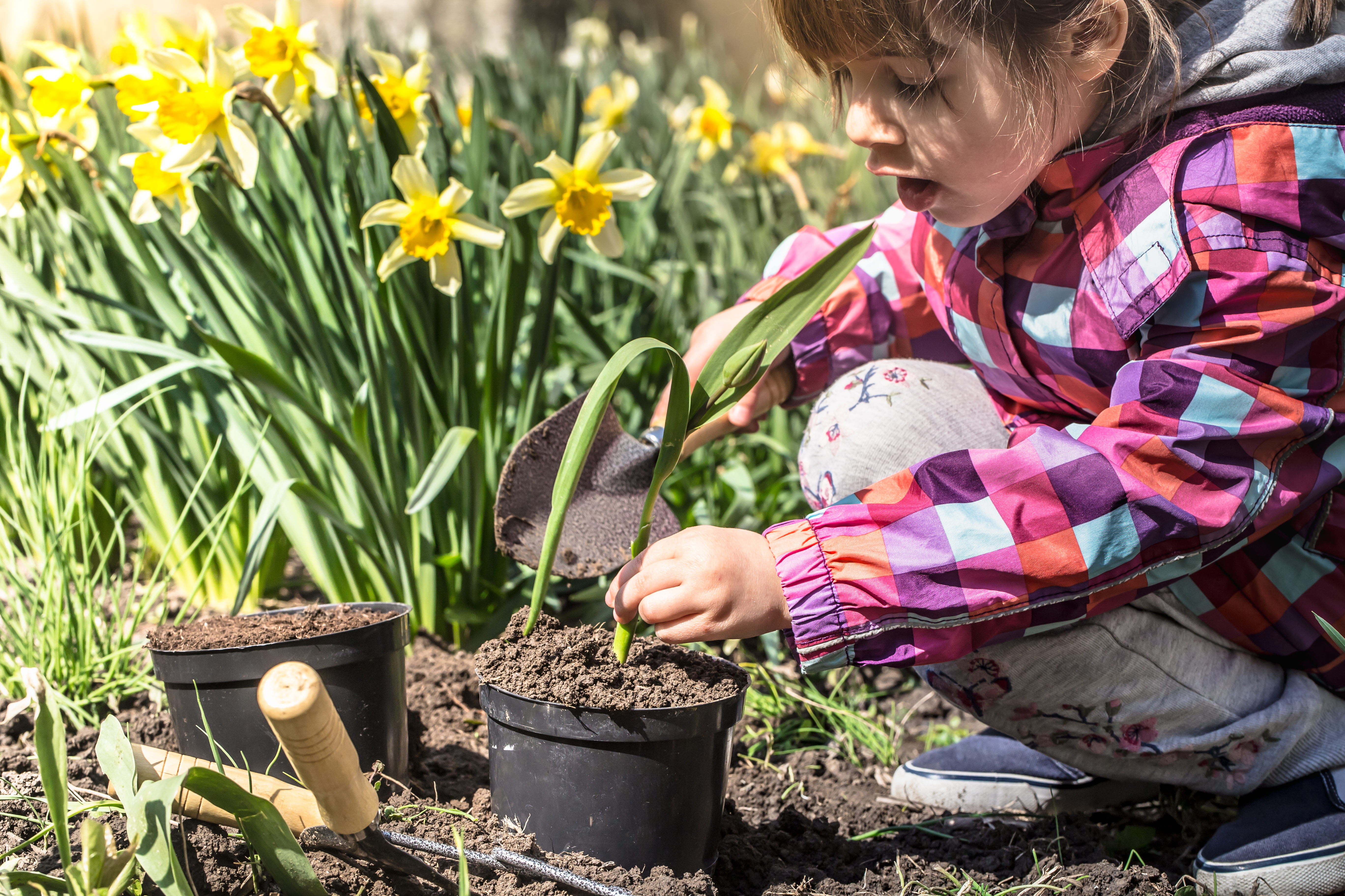 little girl planting flowers in the garden